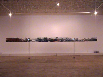 complete installation view