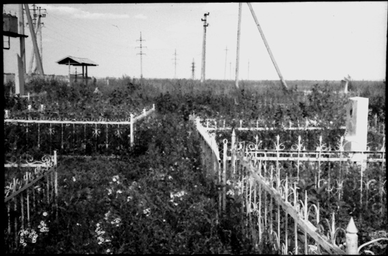 les morts sont avec les herbes folles