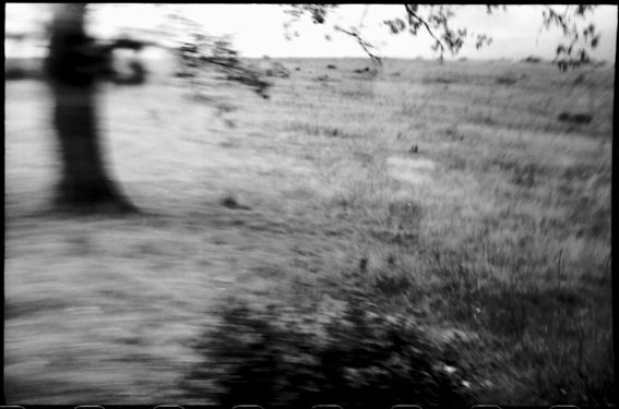 dans le bus, je regarde la vie