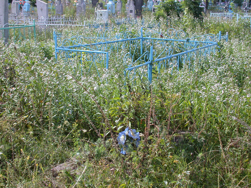 welches blau in verwachsener friedhofsidylle