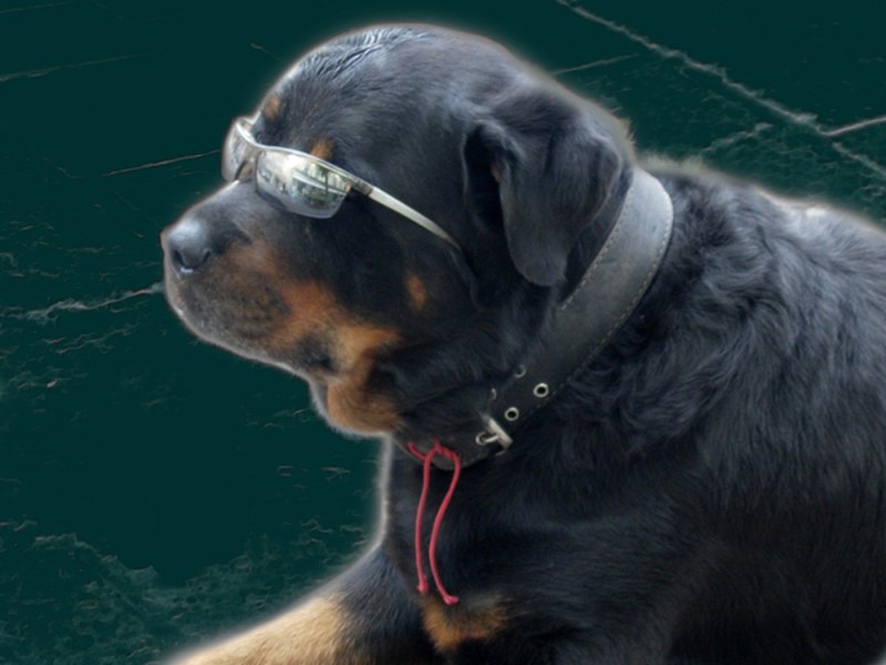 LVIV, rencontre de rue